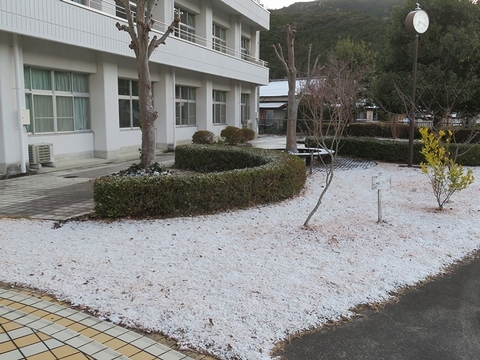 雪1.jpg