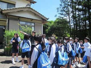 IMG_7345.jpg
