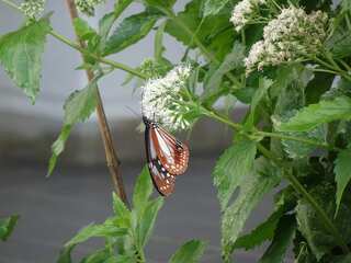 DSC02820.jpg