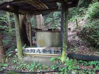 DSC09323.jpg