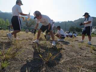 IMG_2765.jpg