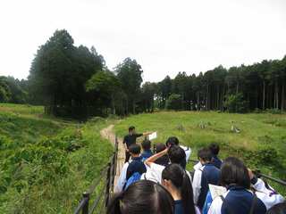IMG_5012.jpg