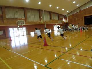 IMG_5329.jpg