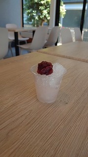 DSC_8904.jpg