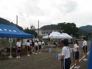 IMG_6347.jpg