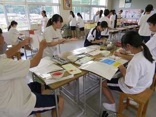 s-s-IMG_8641.jpg